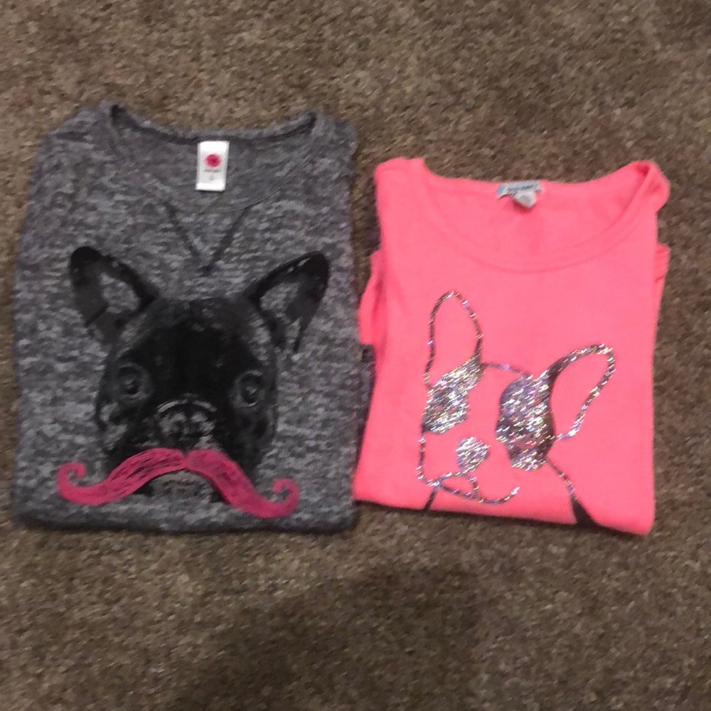 Lot of (2) girls Boston terrier dog shirts!Cute 🐶